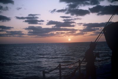 085085-R1-02-3.jpg