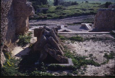 1980-01-01-Pompei_Italy0080.jpg