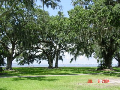 View of the Northshore of Lake Pontchartrain near Bishop's campsite.
