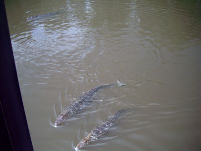 Swim Call!!!!
