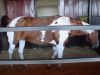 DSC05682.JPG