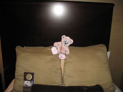 Traveling Teddy does travel in style.
