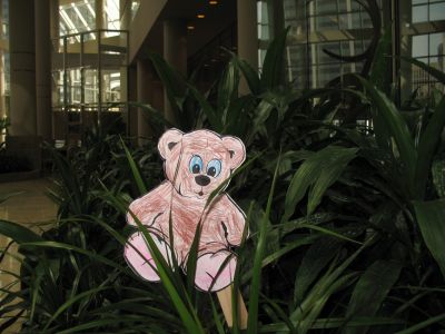 Sometimes Traveling Teddy was hiding right in plain sight.

