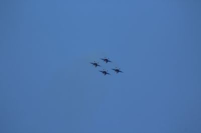 Jez_0054.jpg