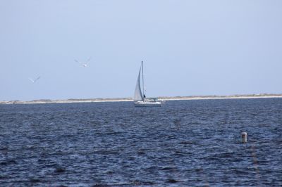 Jez_0109.jpg