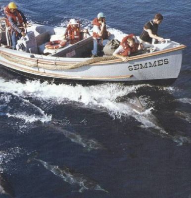 Whaleboat with Dolphins
